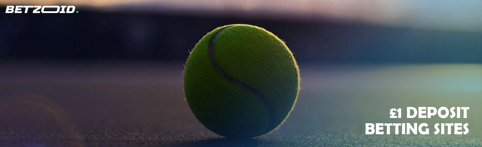 A tennis ball lies on the court.