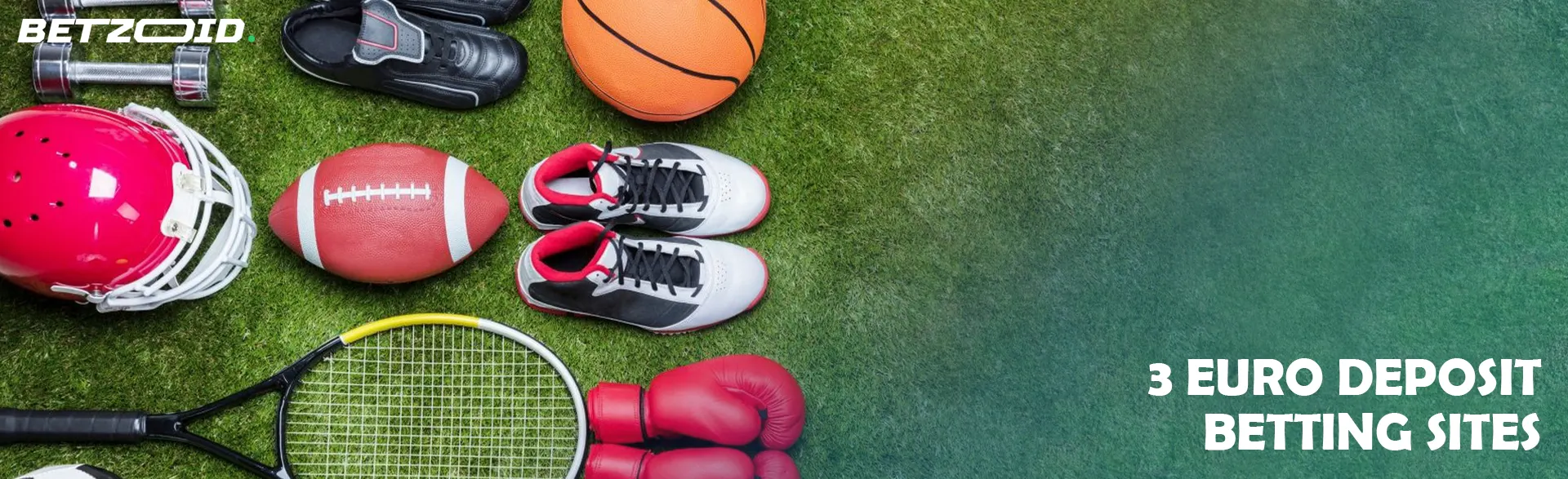 Various sports equipment lies on the grass.