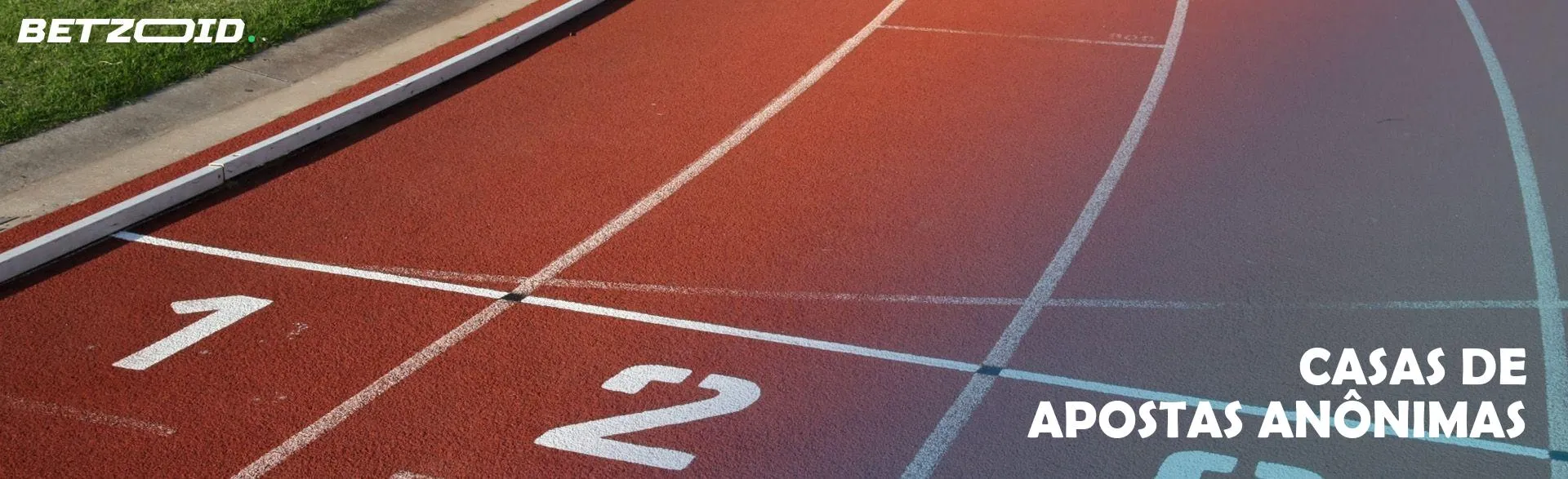 Uma passadeira vazia. 