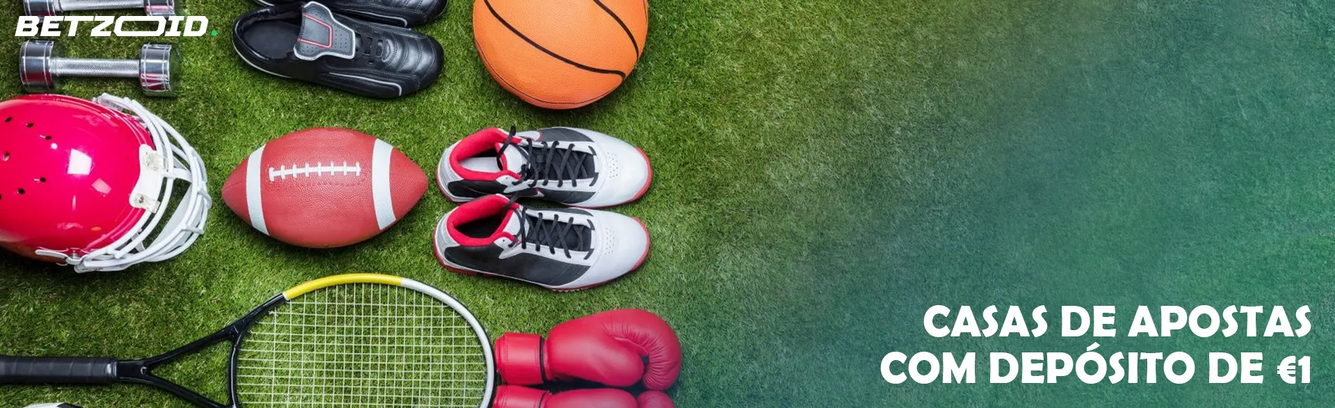 Diferentes equipamentos desportivos estão na relva.