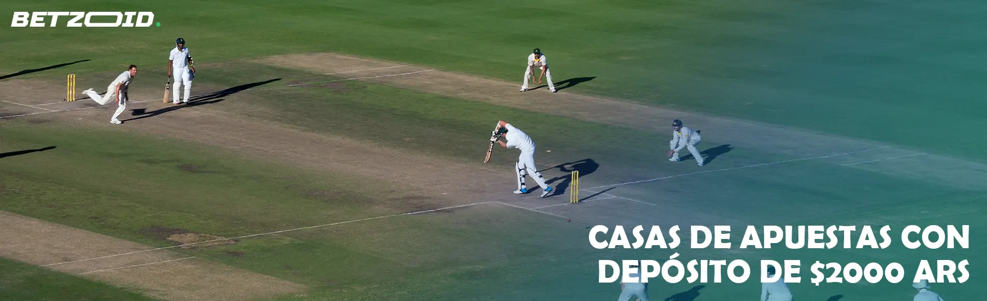 Jugadores de críquet en el campo durante un partido.