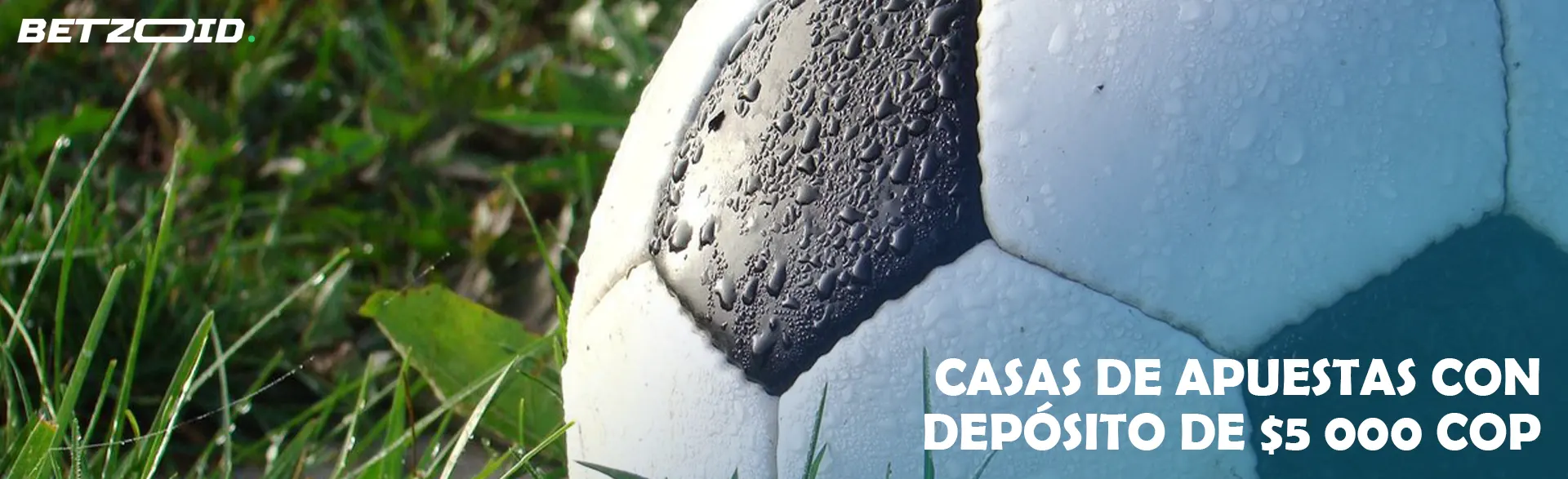 El balón de fútbol yace sobre el césped.