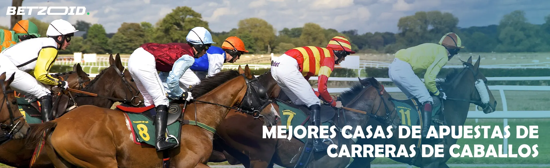 Jinetes en carreras de caballos.