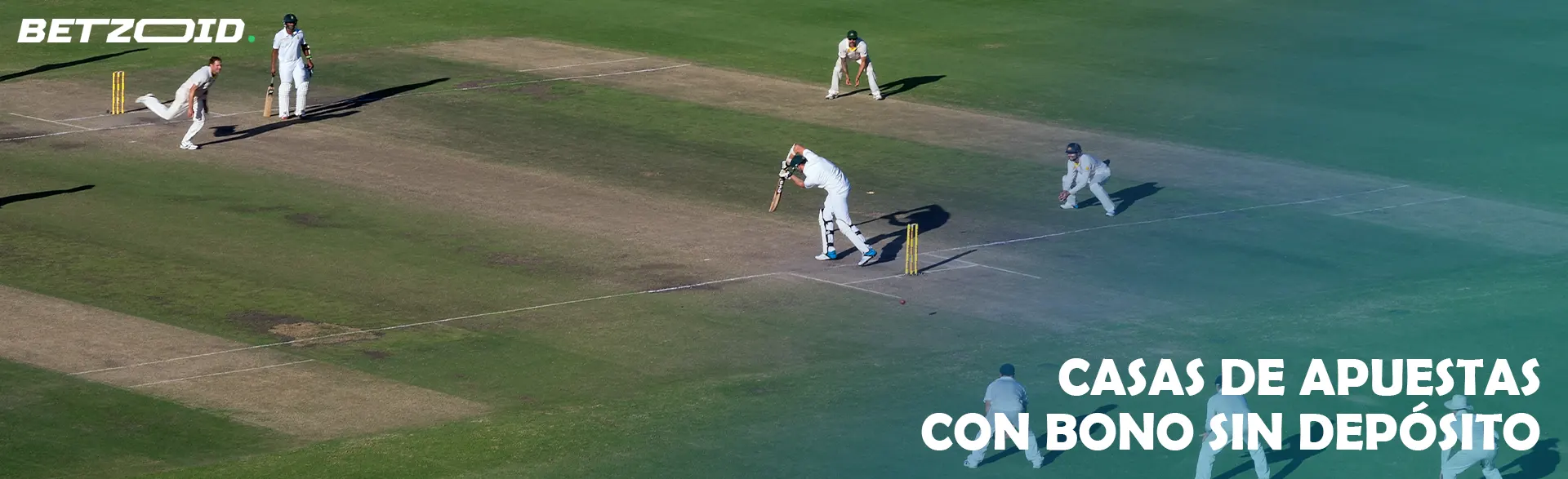 Jugadores de críquet en el campo durante un partido.