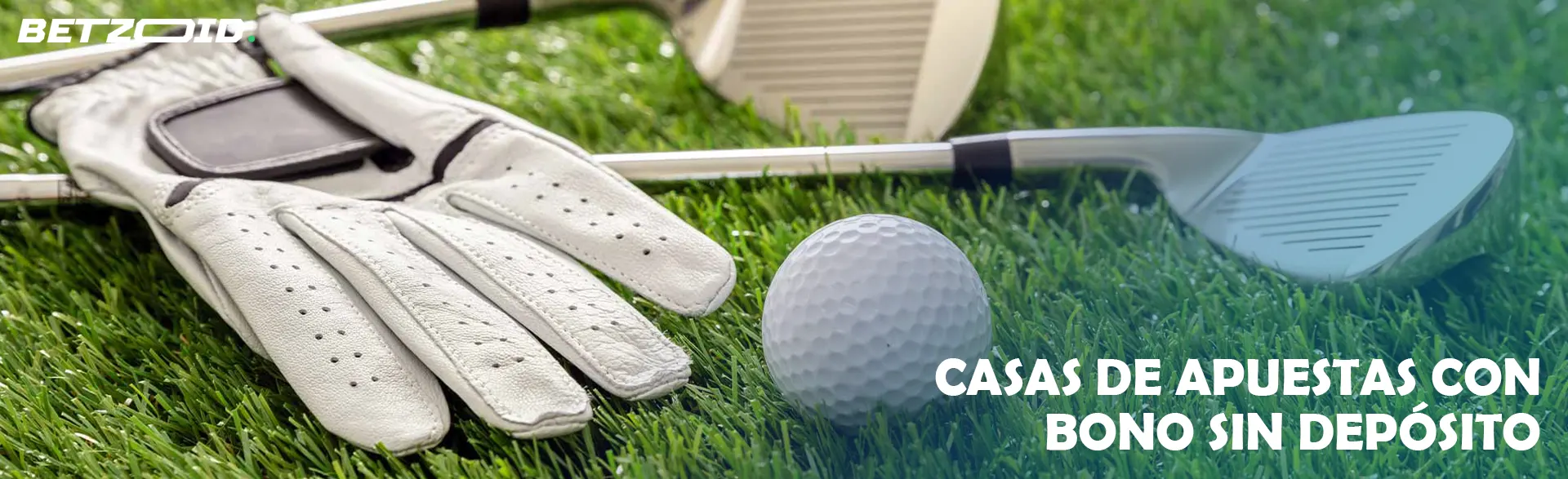 Guantes, pelotas y palos de golf yacen sobre el césped.