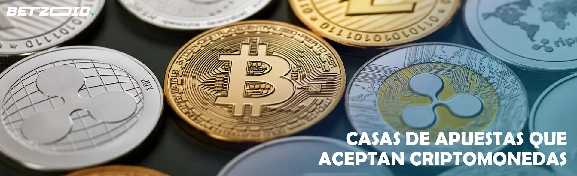 Monedas de diferentes criptomonedas.