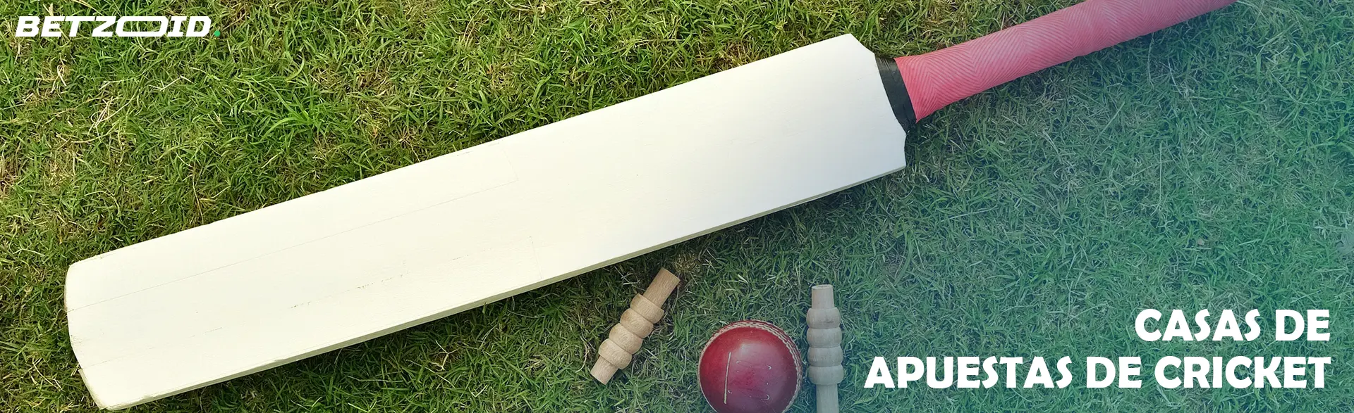 Un bate de críquet y una pelota yacen sobre el césped.