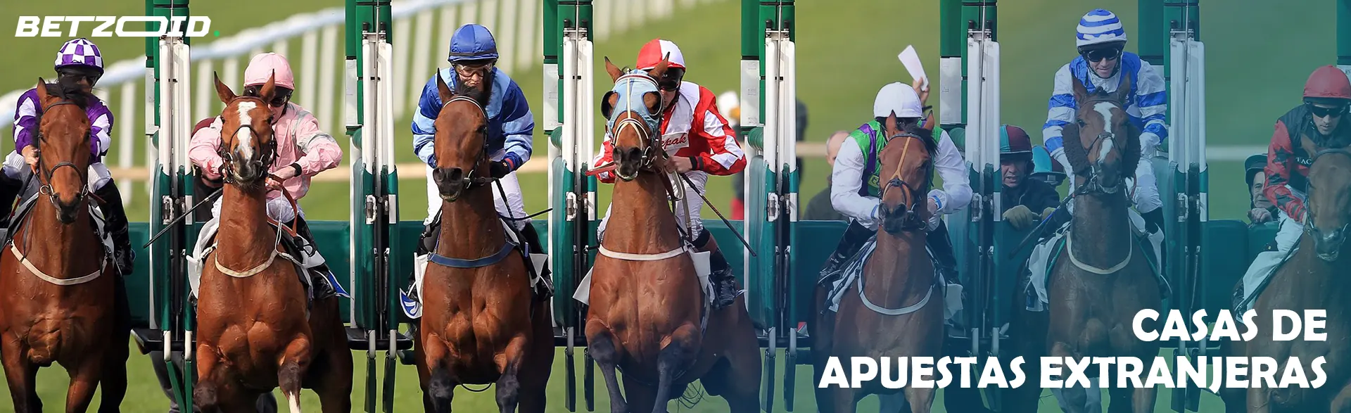 Jinetes a caballo al inicio de la carrera.