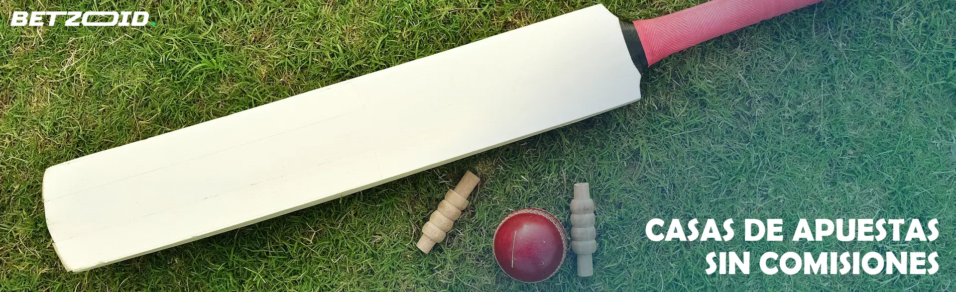 Bate de críquet y pelota en el césped.