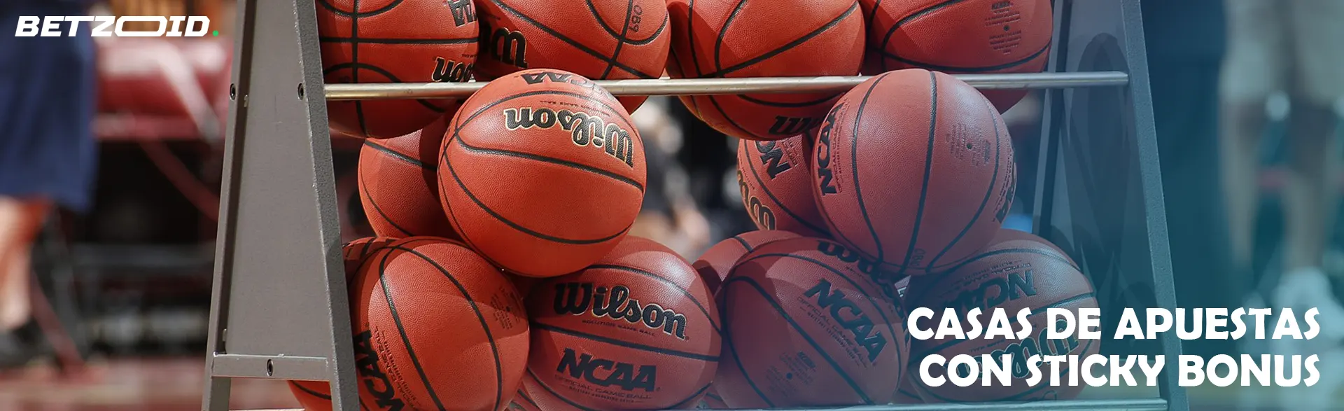 Pelotas de baloncesto en un estante.