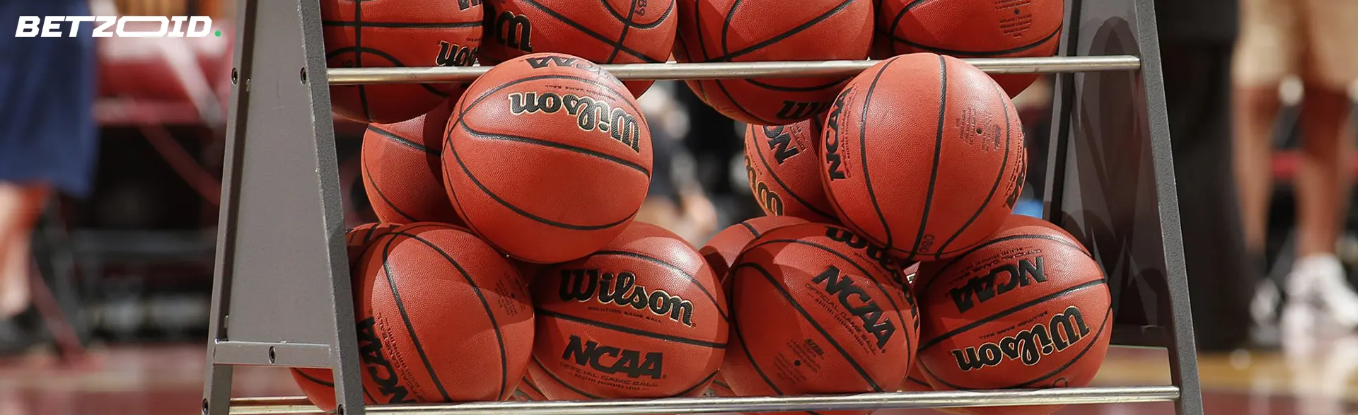 Basketballs lie on the rack.