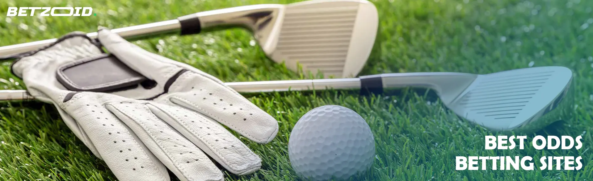 Golf clubs, ball and glove lying on the grass.