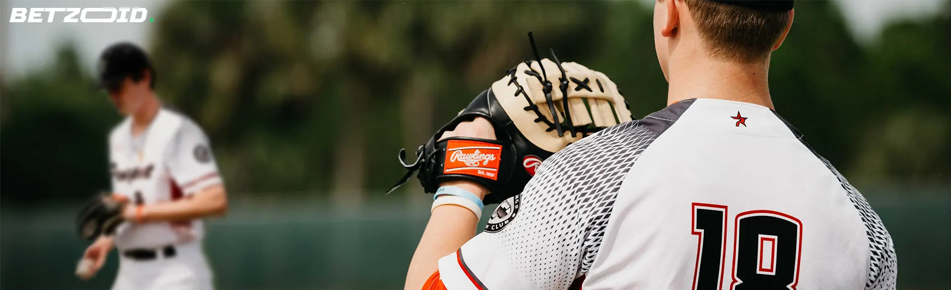 Rear view of a baseball player getting ready to play, symbolizing the focus and benefits highlighted in new customer offers at betting sites in Canada.