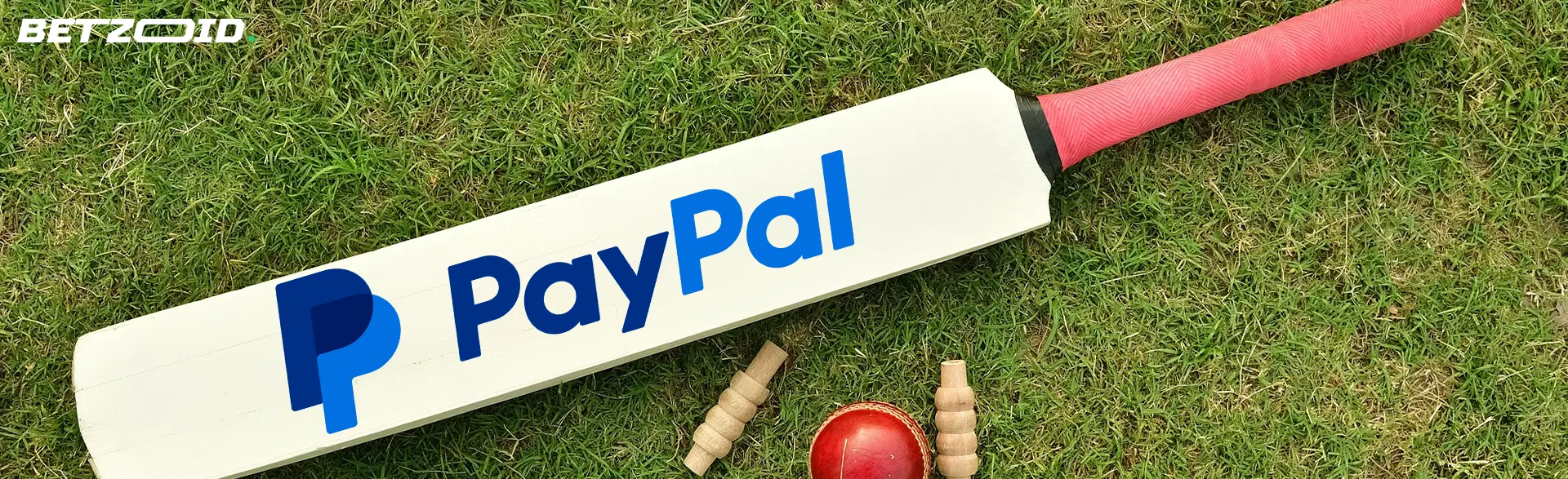 Cricket bat with PayPal logo on grass.