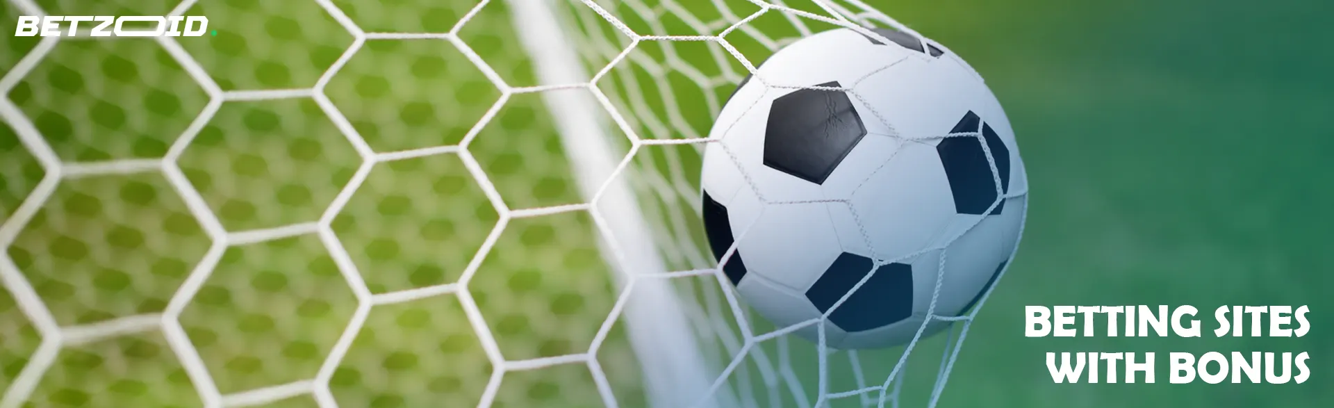 The soccer ball flies into the goal.