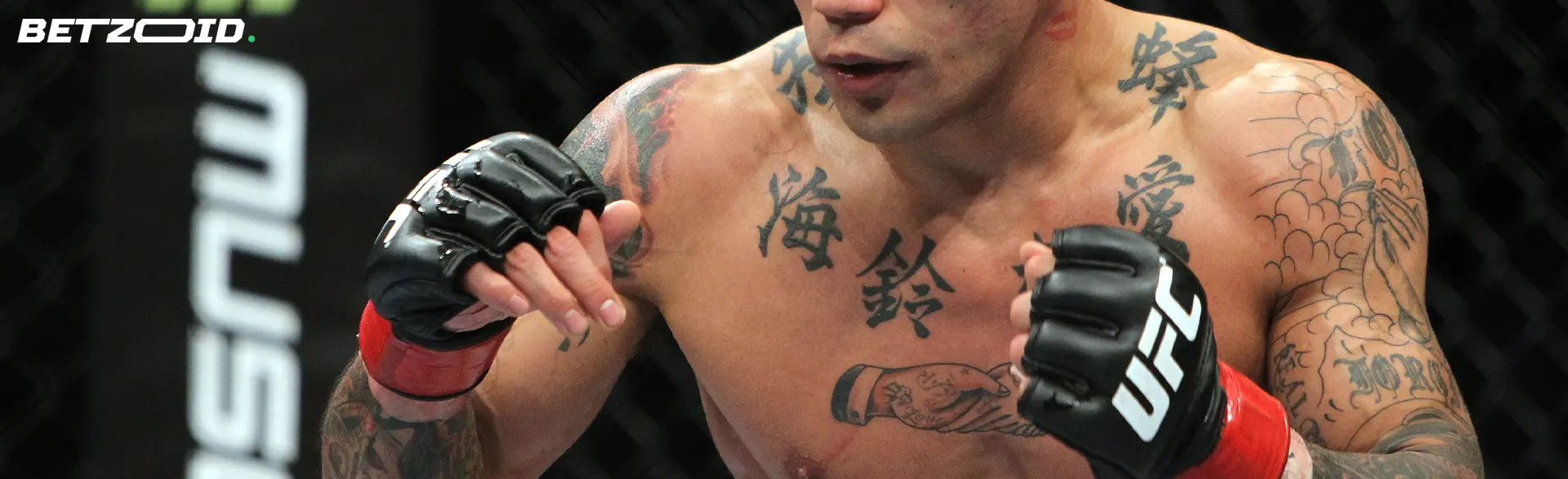 リング上の UFC ファイター。