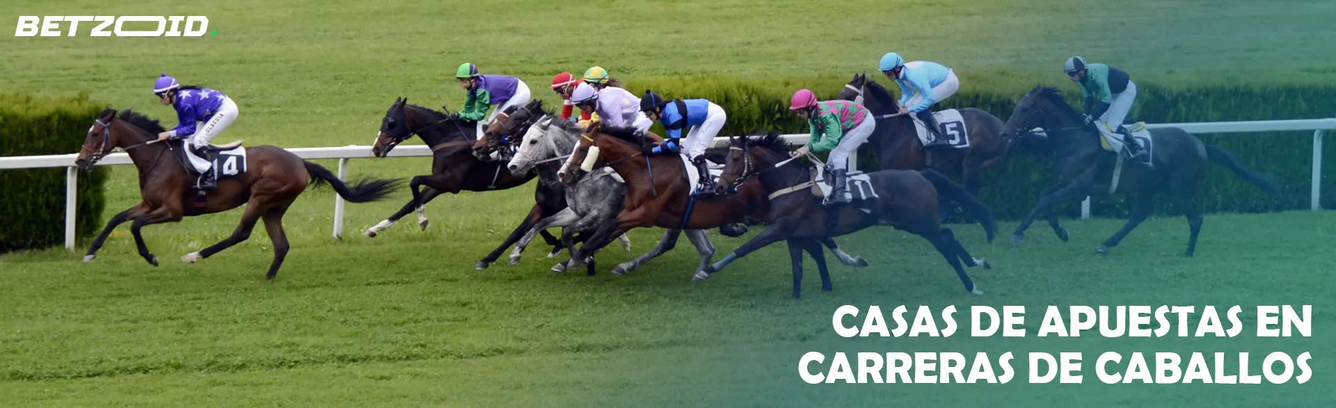 Jinetes a caballo durante una carrera.