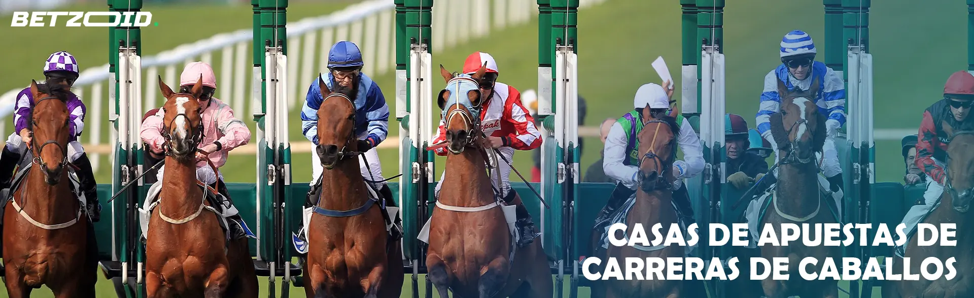 Carreras de caballos en la línea de salida.