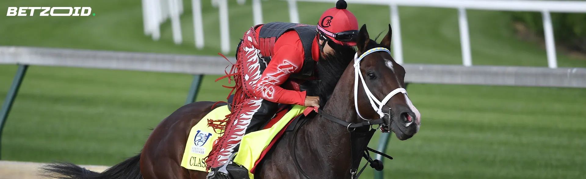 Un jinete sobre un caballo que corre por la pista.