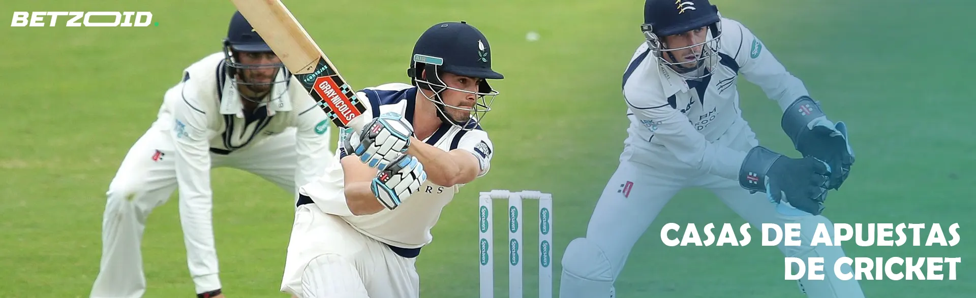 Jugadores de críquet en acción durante un partido.