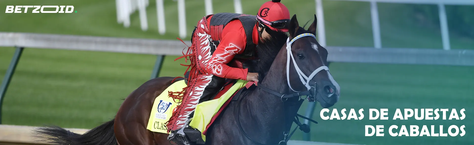 Jinete sobre un caballo durante una carrera.
