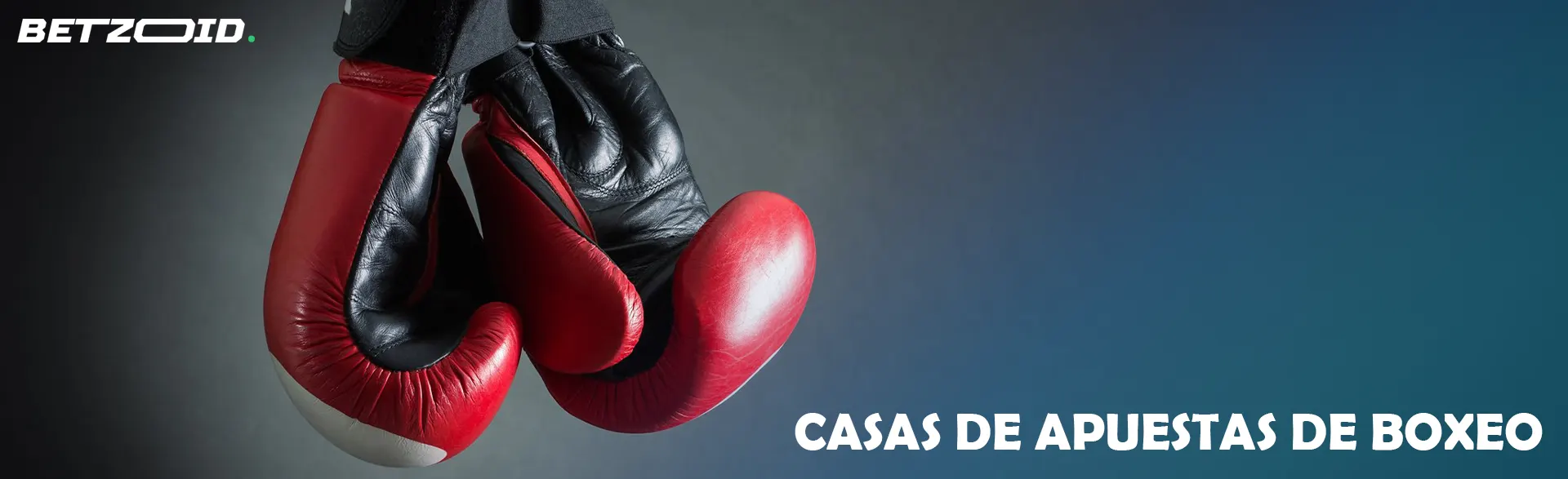 Guantes de boxeo colgantes.