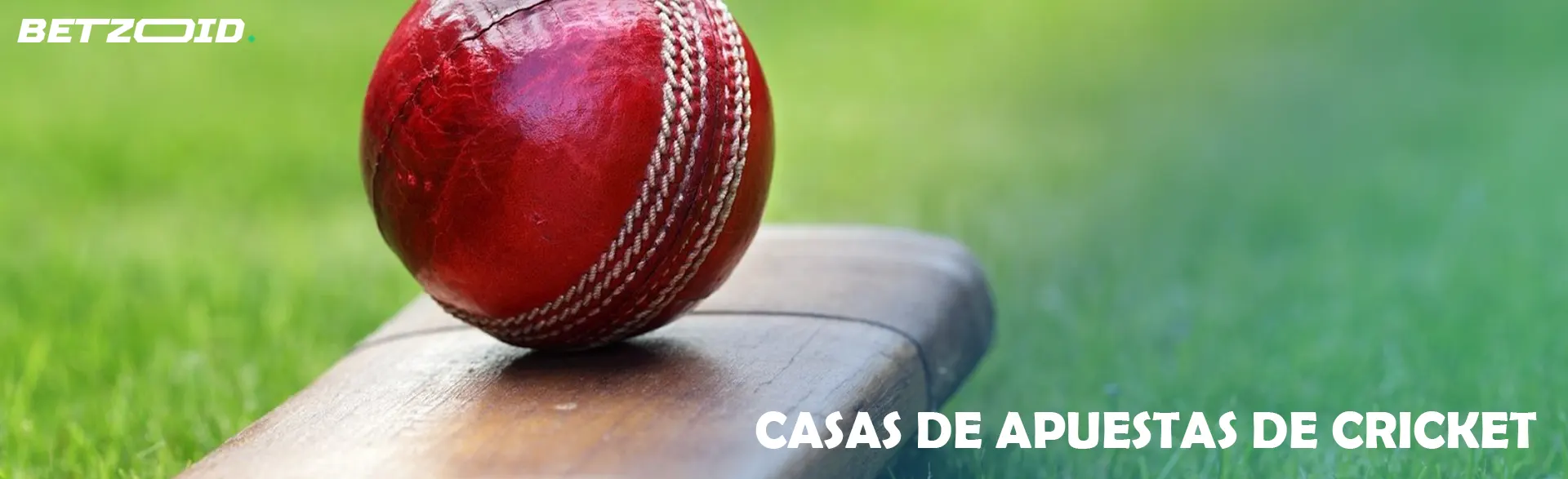 Bola de cricket roja sobre un bate de cricket en un campo verde.