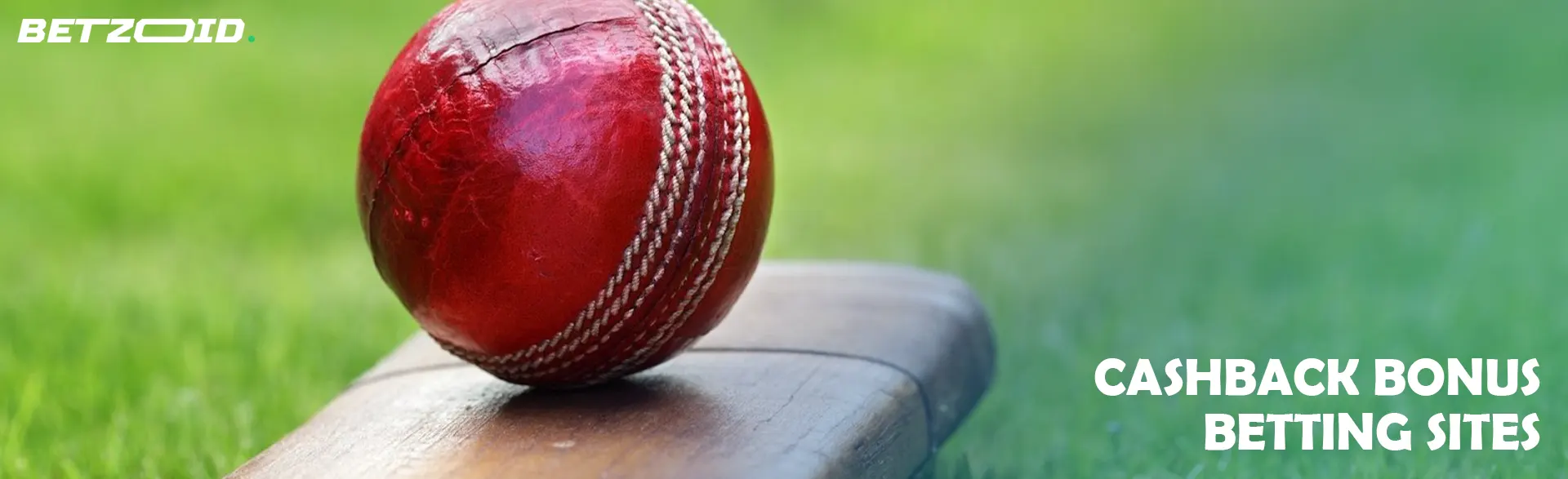 The ball rests on the cricket bat.