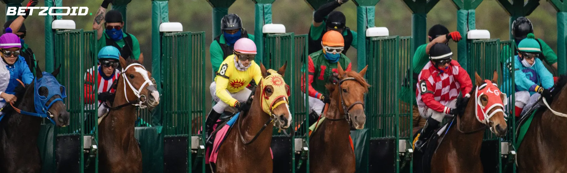 Jockeys op paarden aan de start van de race.