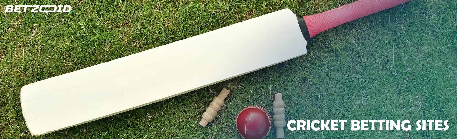 A cricket bat and a ball lie on the grass.
