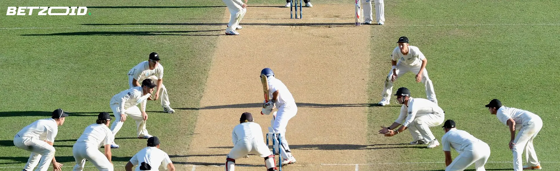Cricketers in action during a game.