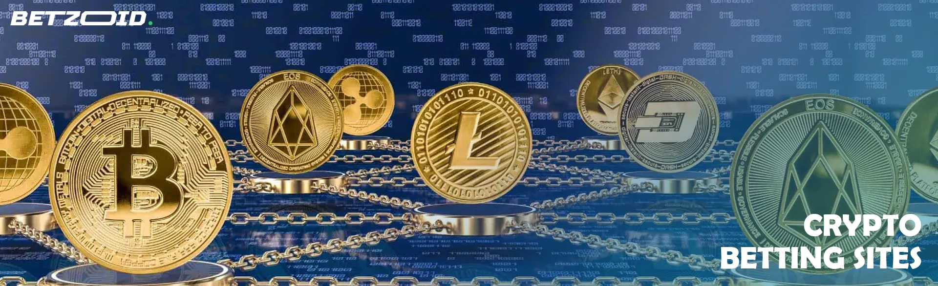 Coins of various cryptocurrencies.