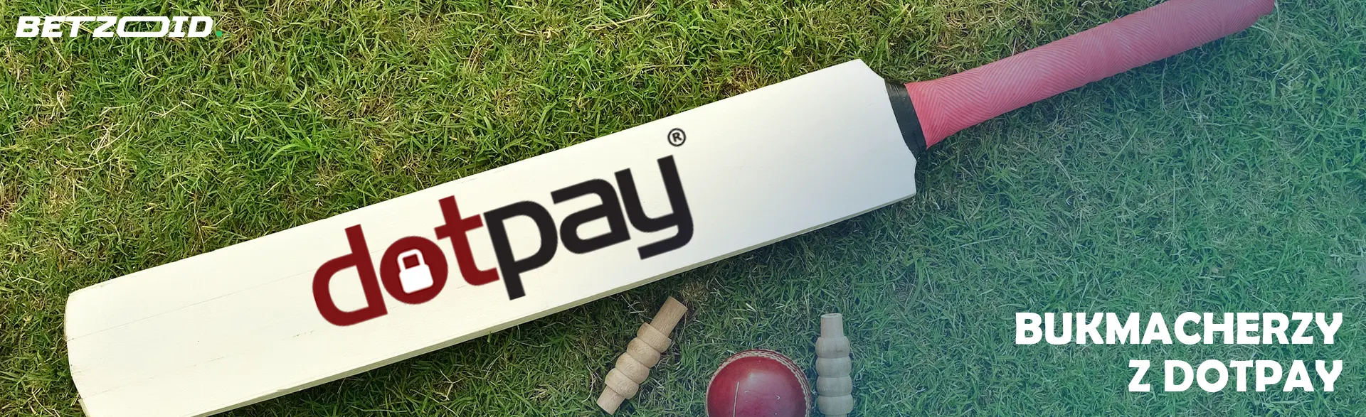 Logo Dotpay na kiju do krykieta.