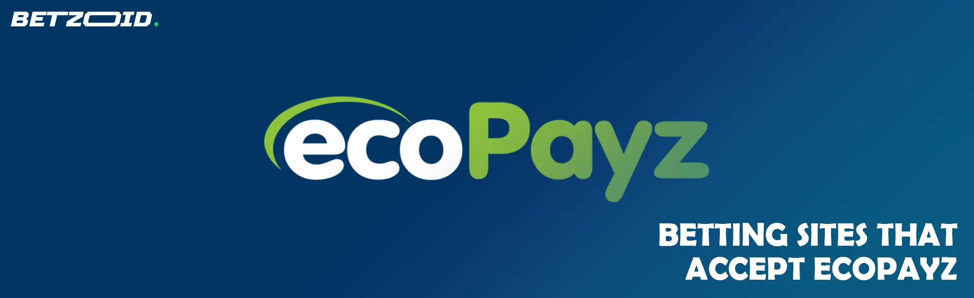 EcoPayz logo on a blue background.