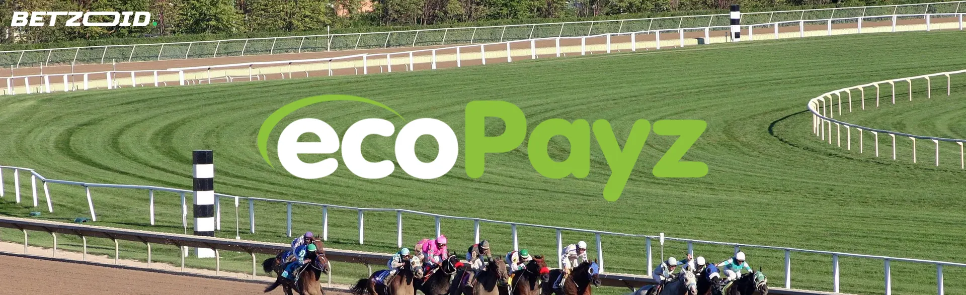 EcoPayz logo on the background of horse races on the racetrack.
