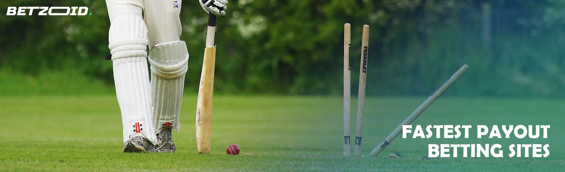 A cricketer with a bat at the gate.