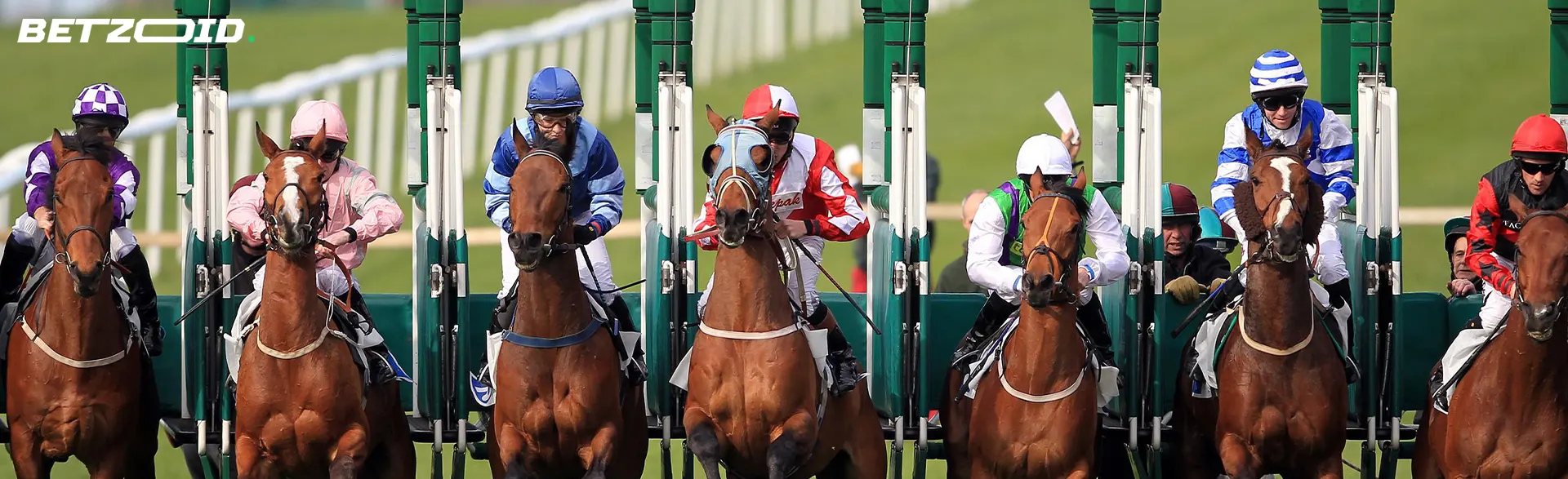 Horse racing participants at the start of the race.