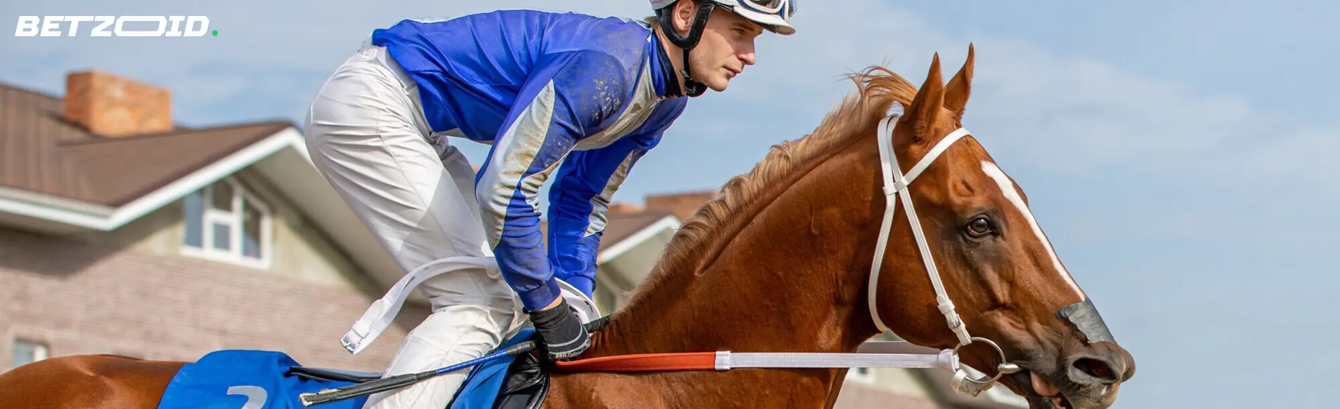 Jockey on a horse during a race.