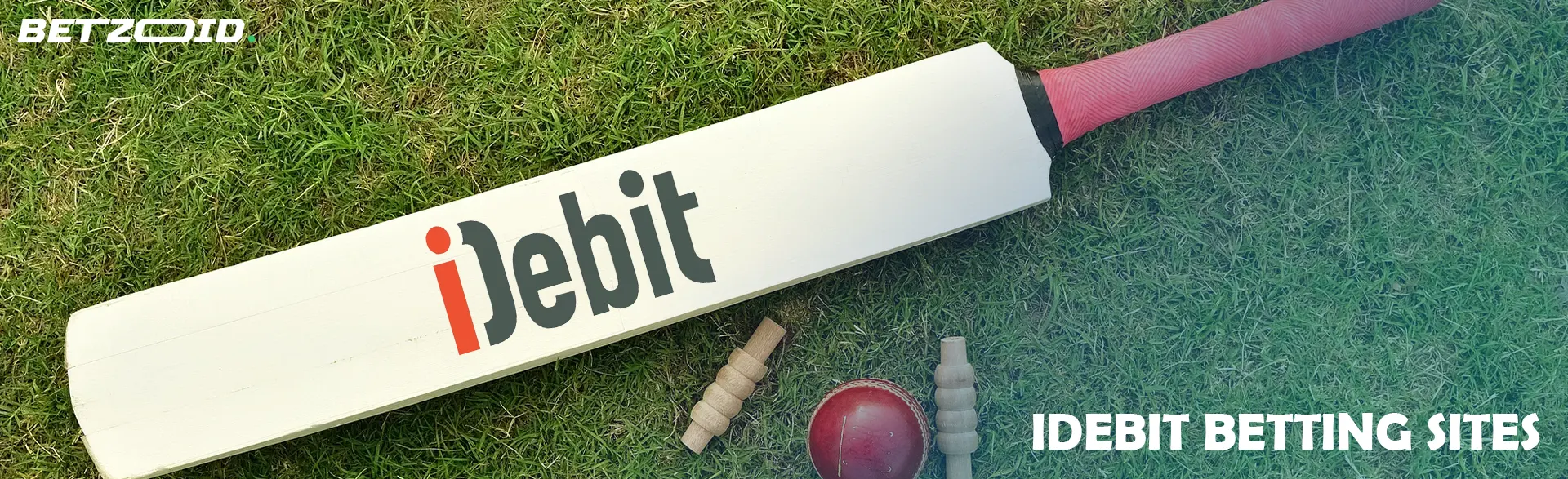 Cricket bat and ball on grass.