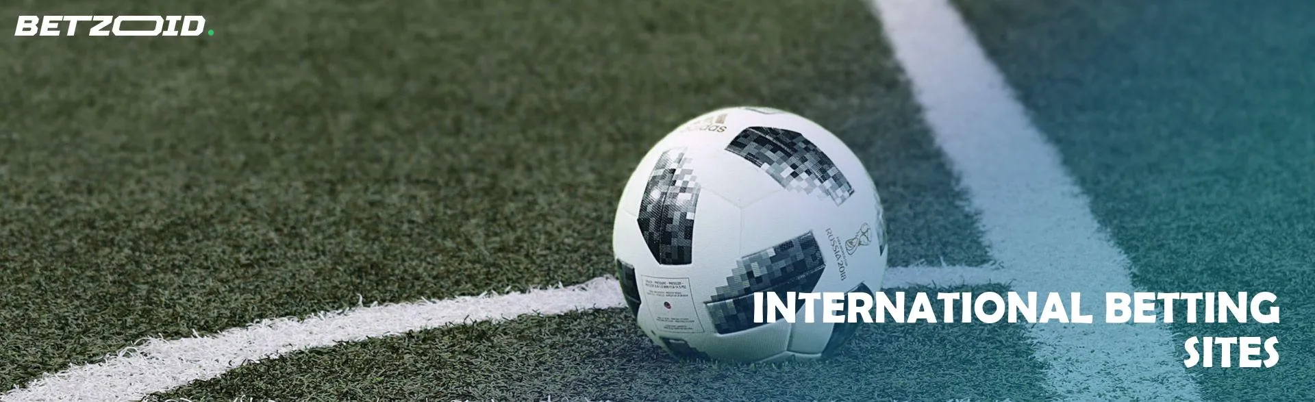 The soccer ball lies on the field.