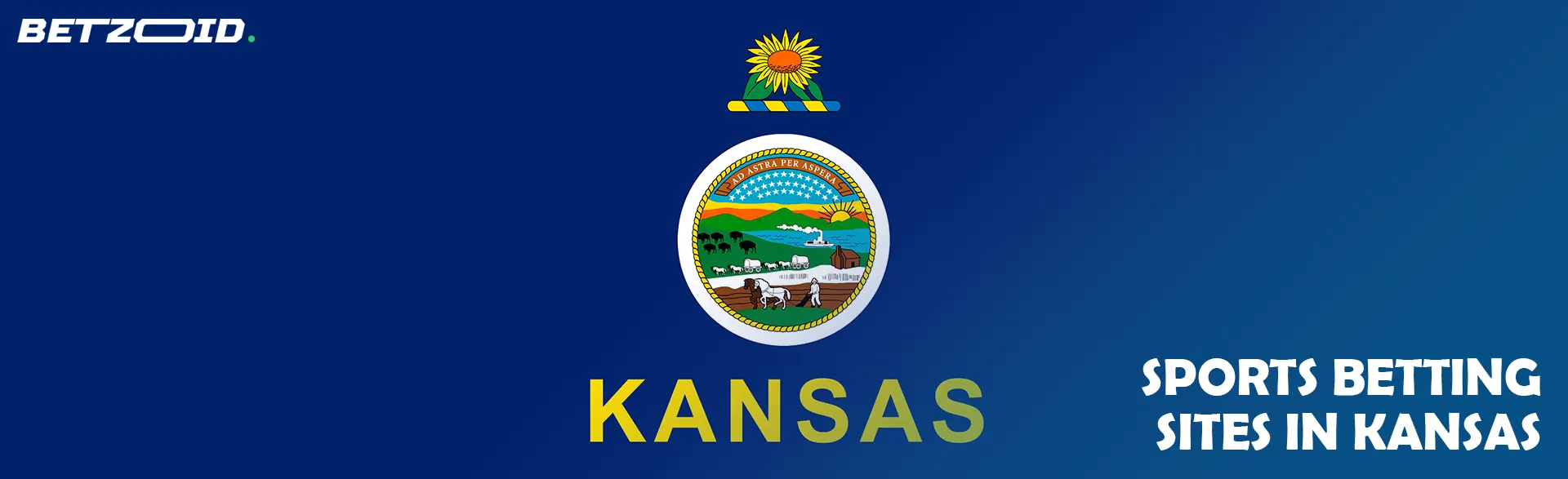 Kansas state flag.