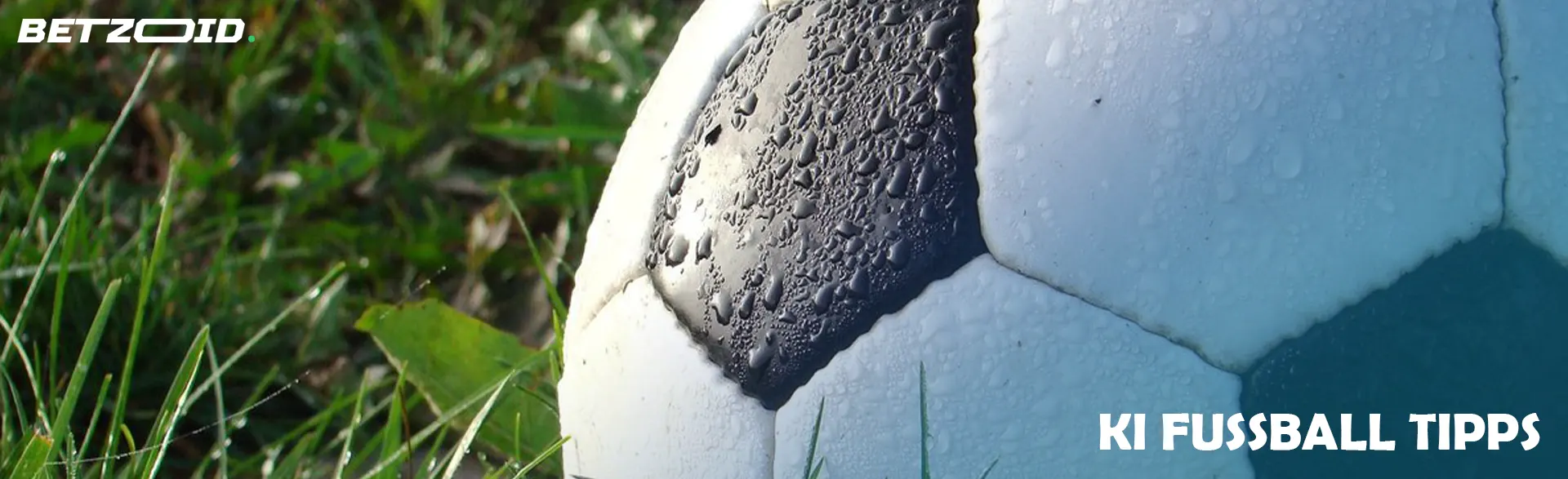 Ein Fußball liegt auf der Wiese. 