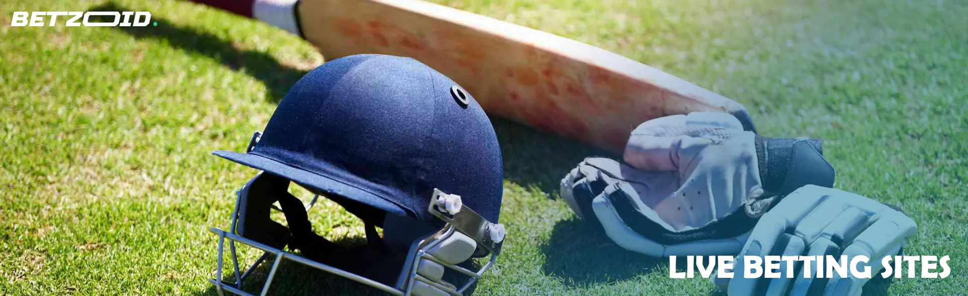 Cricket equipment: helmet, gloves and bat.