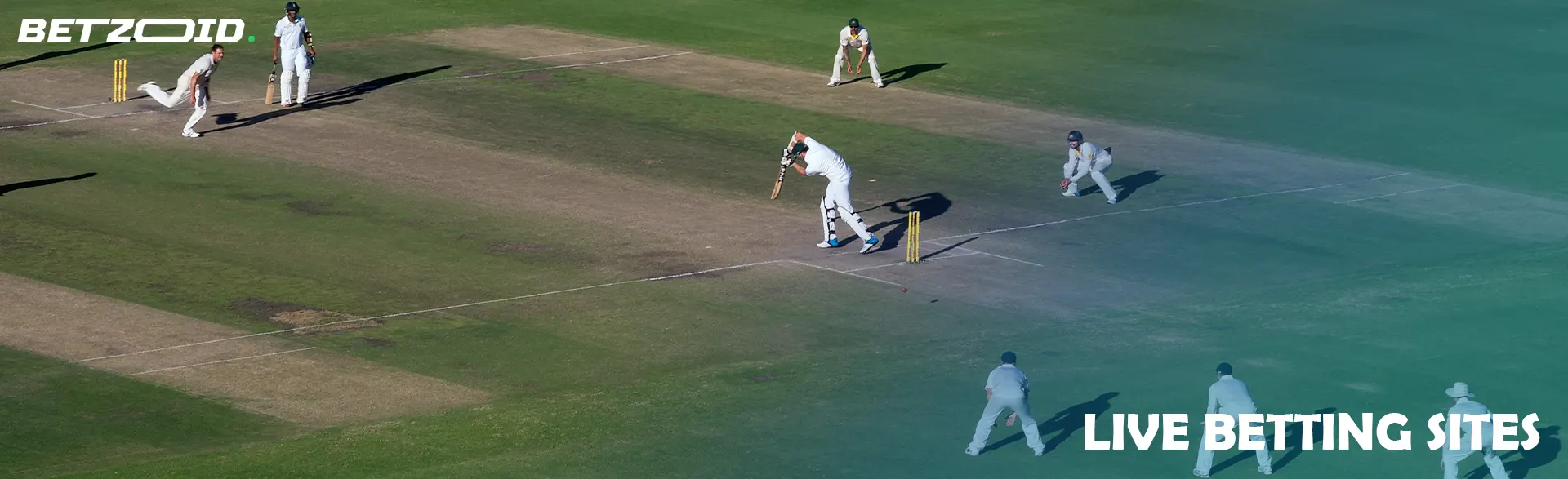 Cricketers in action during a game.