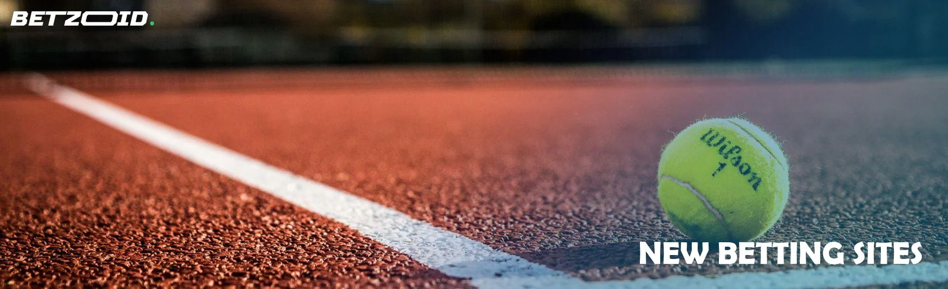 Tennis ball on the court.