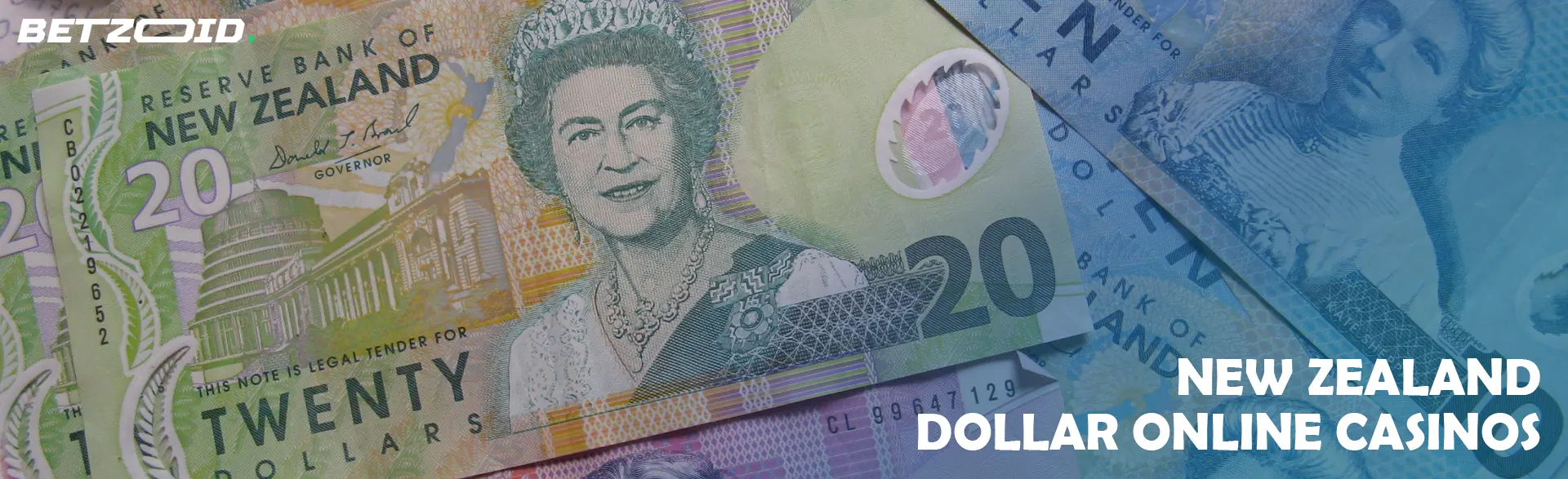 New Zealand dollar bills.