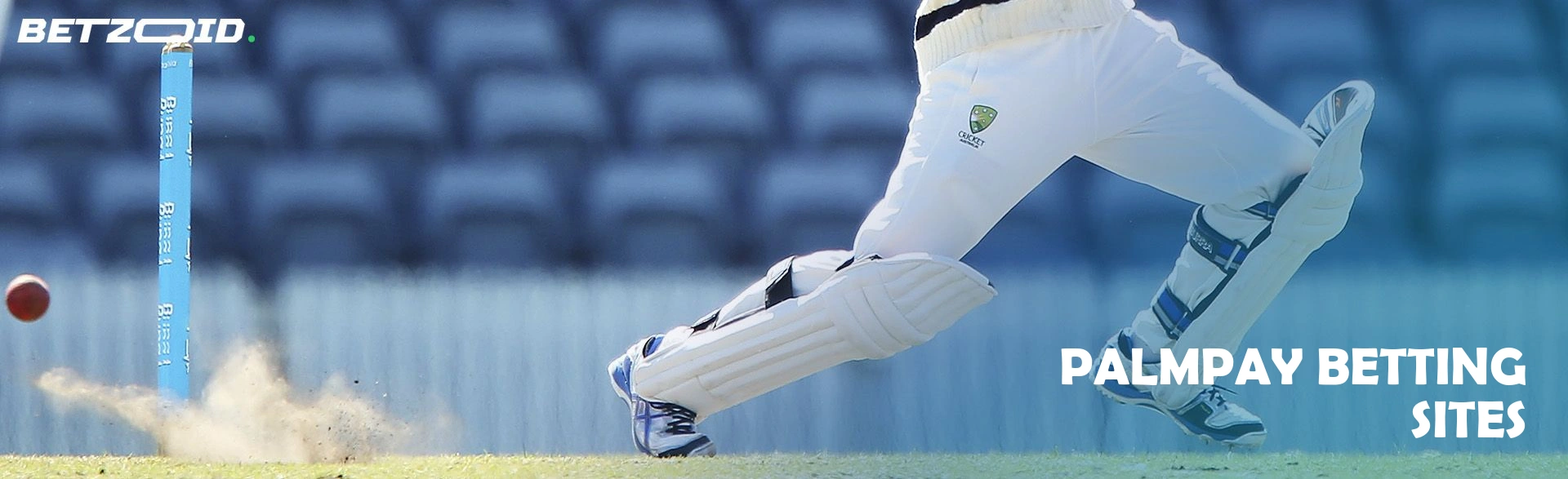 Palmpay betting sites.