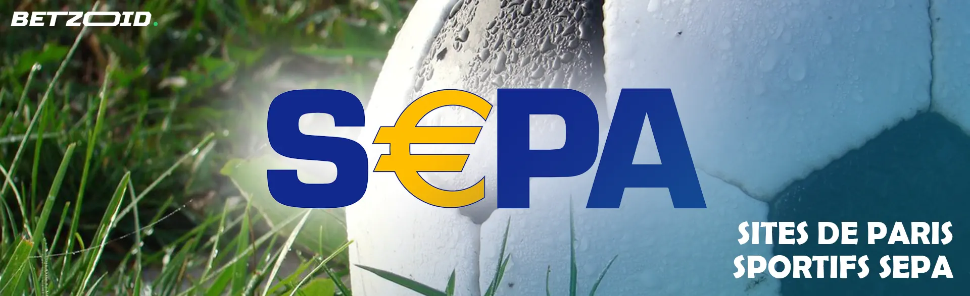 Le logo SEPA sur fond de ballon de football.
