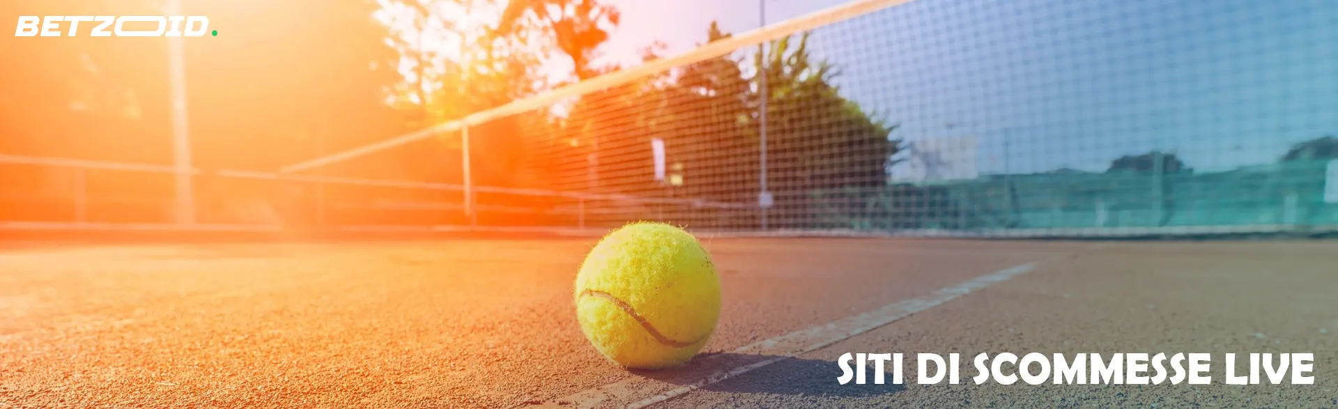 Pallina da tennis in campo.