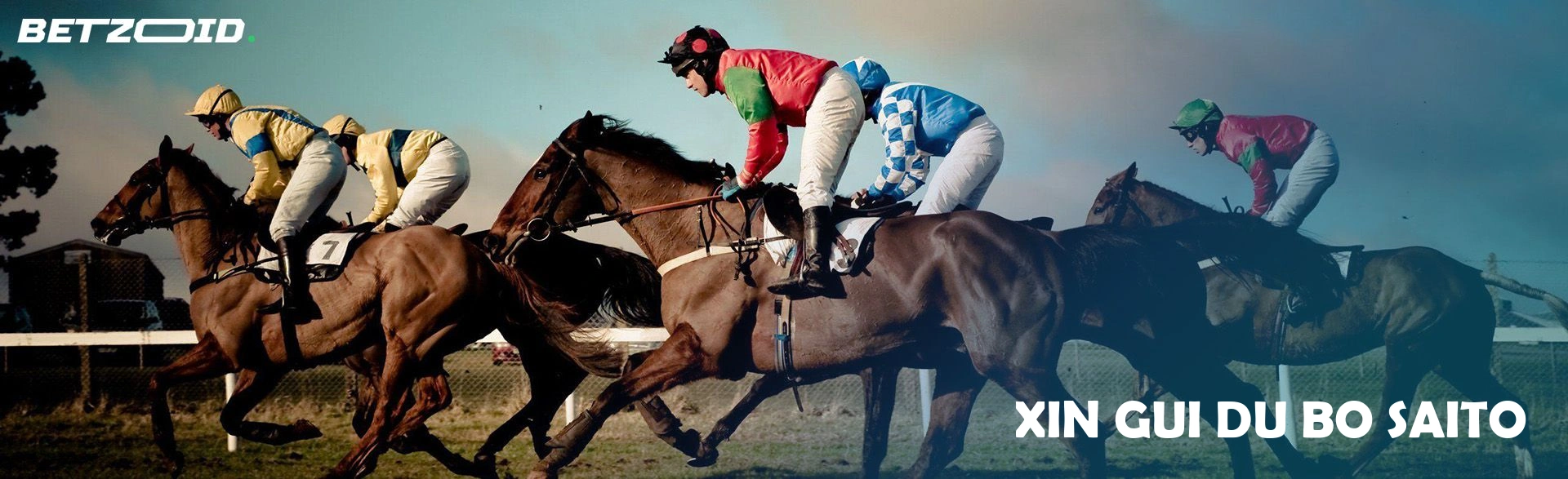 Xin Gui Du Bo saito.